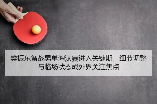 樊振东备战男单淘汰赛进入关键期，细节调整与临场状态成外界关注焦点